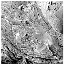 Figure 34