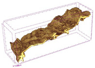 Figure 35