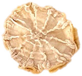 Figure 36