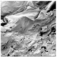 Figure 38