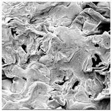 Figure 39