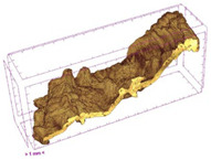 Figure 40