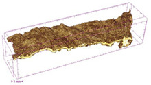 Figure 45