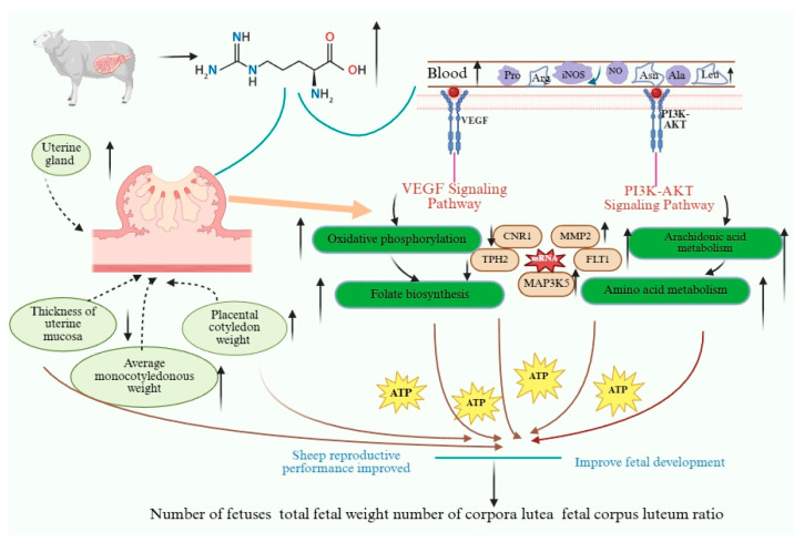 Figure 7