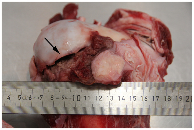 Figure 10