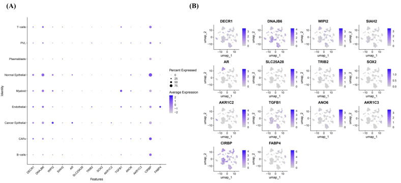 Figure 15