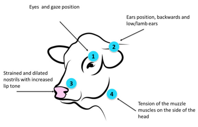 Figure 17
