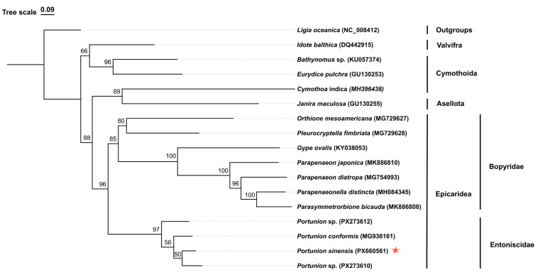 Figure 6