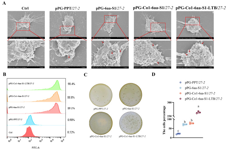 Figure 4