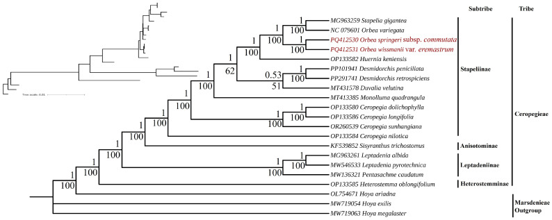 Figure 10