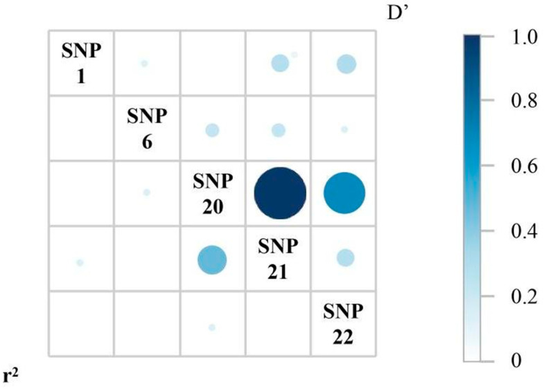 Figure 5