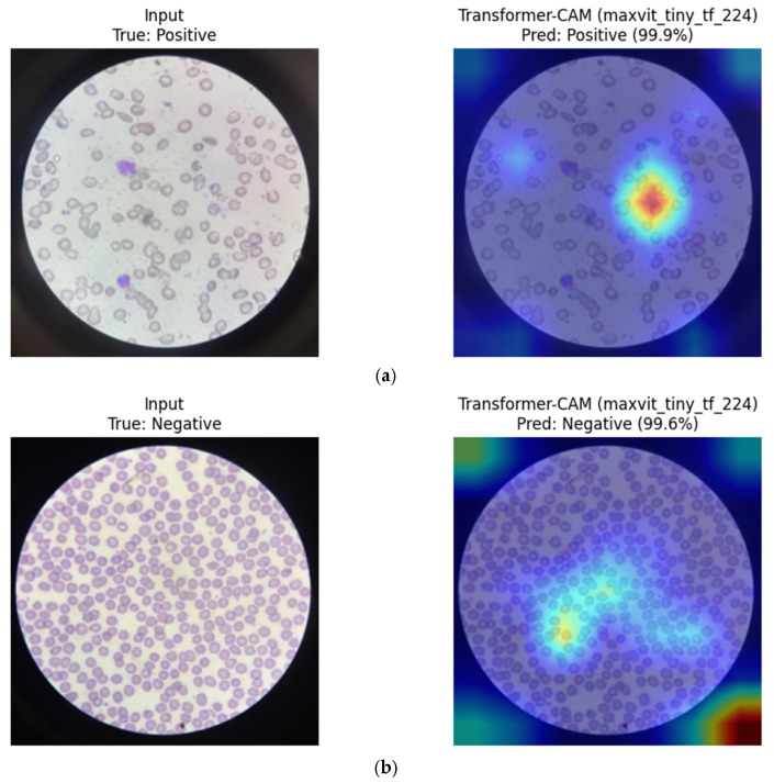 Figure 21