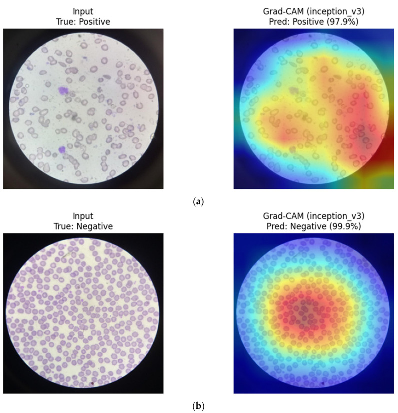 Figure 23