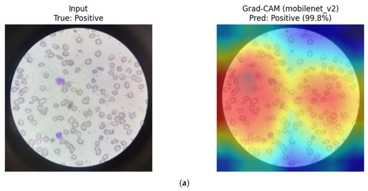Figure 24