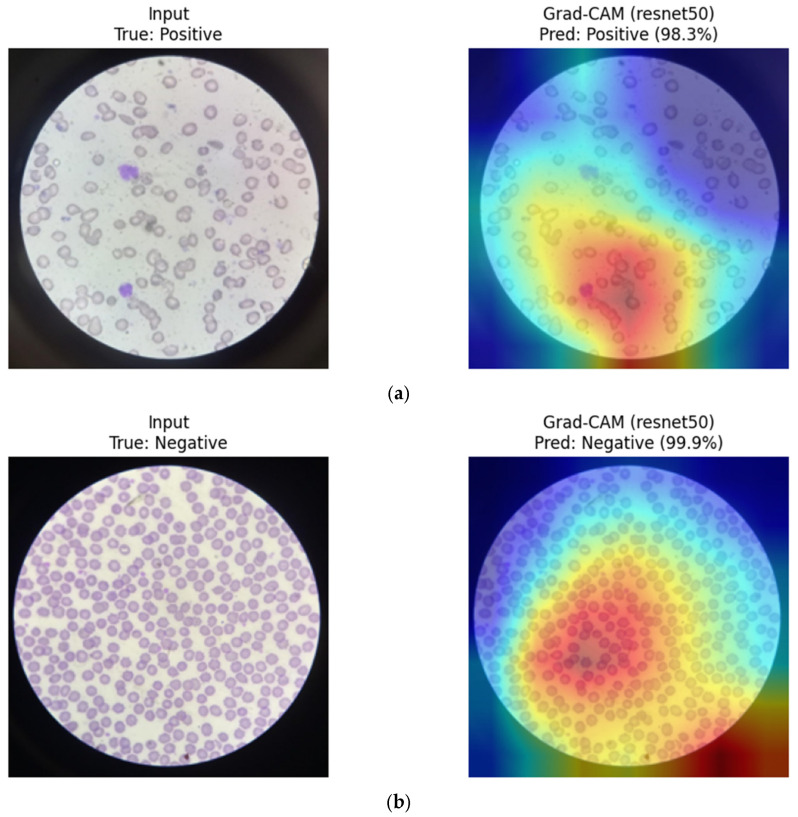 Figure 25
