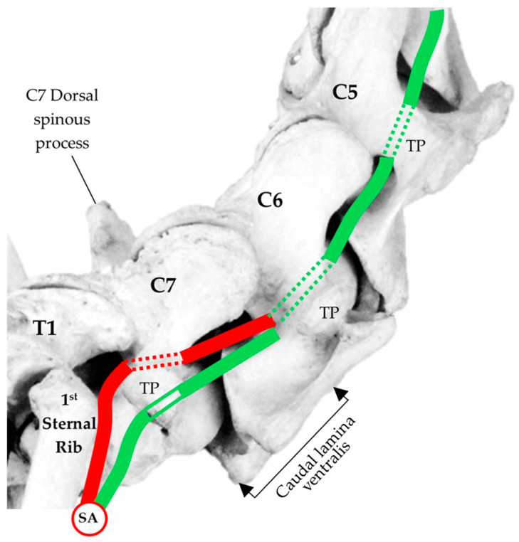 Figure 9