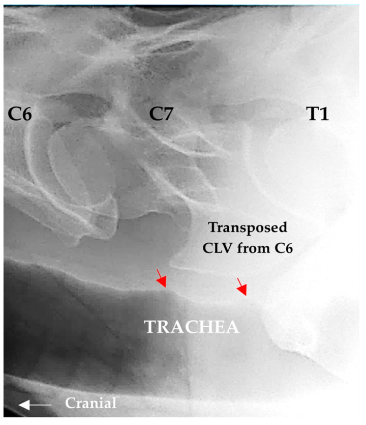 Figure 10