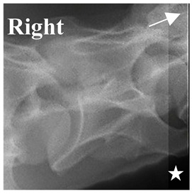 Figure 21