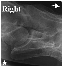 Figure 24