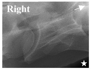 Figure 27