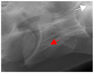 Figure 28