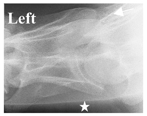 Figure 36