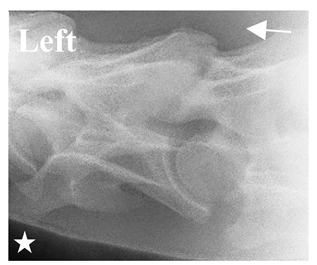 Figure 39