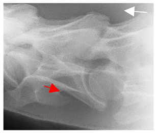 Figure 40