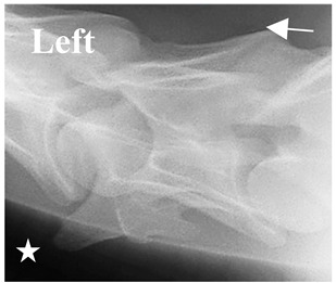 Figure 45