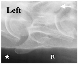 Figure 48