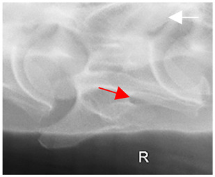 Figure 49