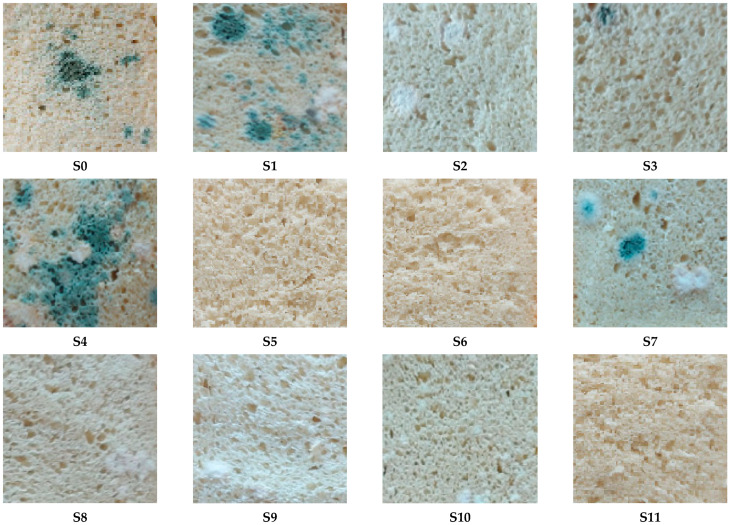 Figure 11