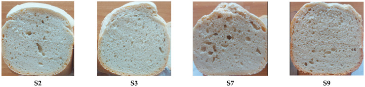 Figure 12