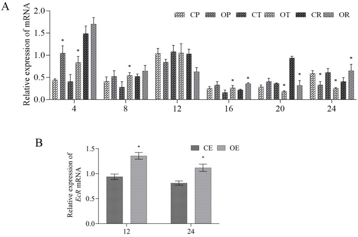 Figure 10