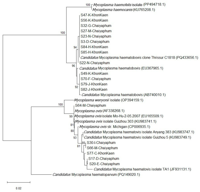 Figure 4