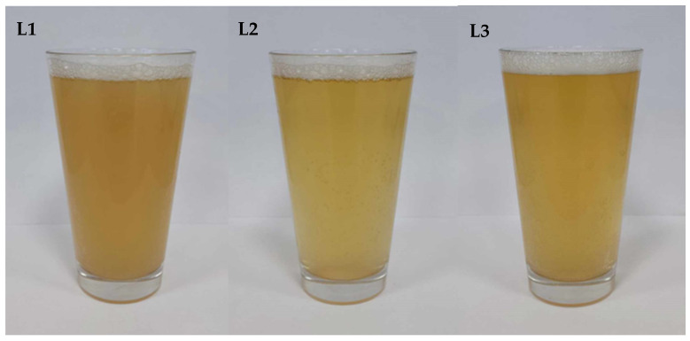 Figure 12