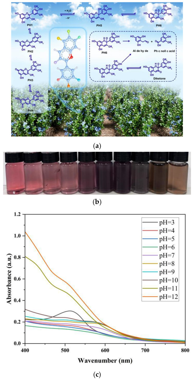 Figure 17