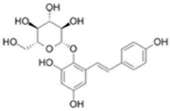 Figure 20