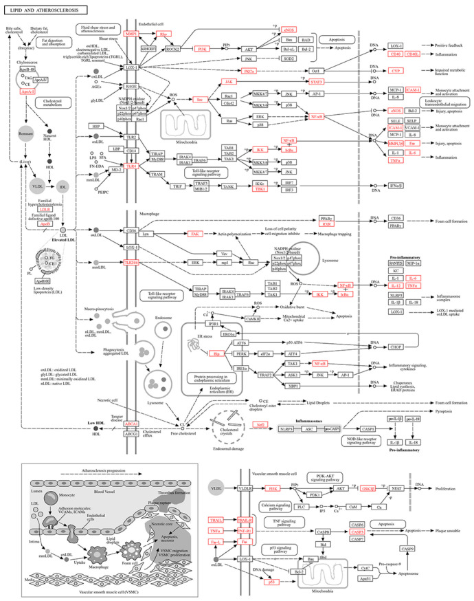 Figure 16