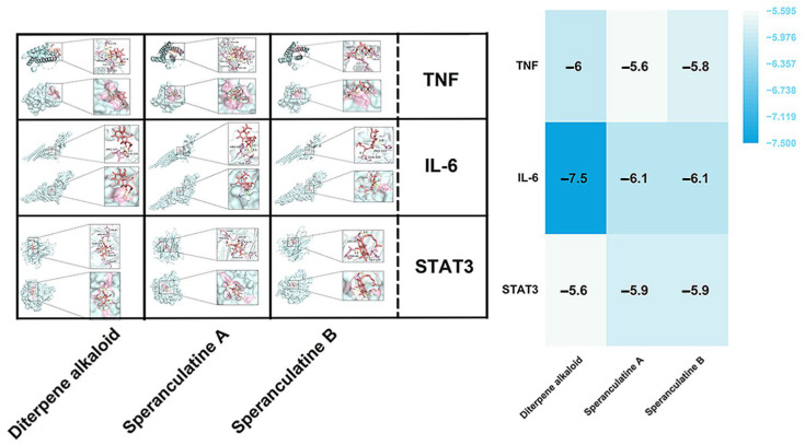 Figure 17