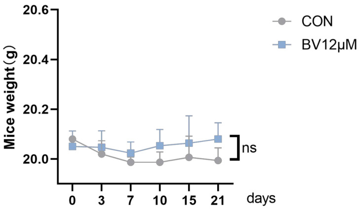 Figure 20