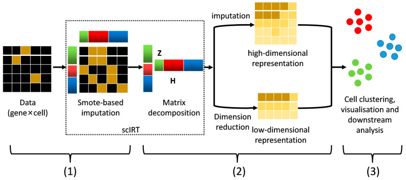 Figure 2