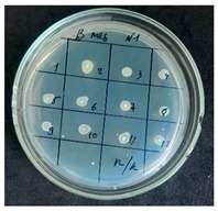 Figure 4