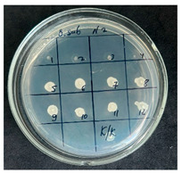 Figure 5