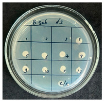Figure 7