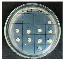 Figure 9