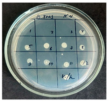 Figure 10