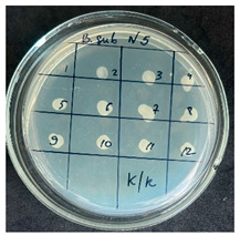 Figure 11