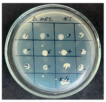 Figure 12