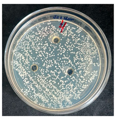 Figure 14